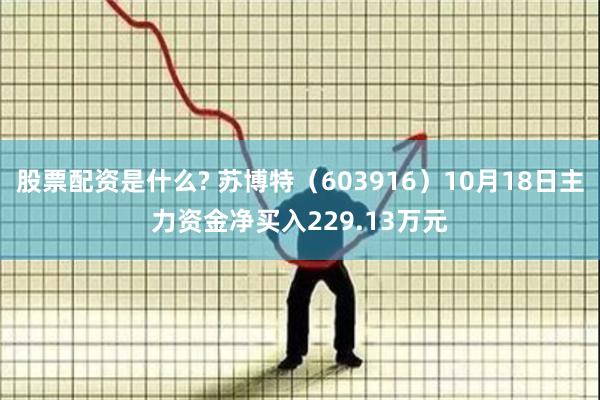 股票配资是什么? 苏博特（603916）10月18日主力资金净买入229.13万元
