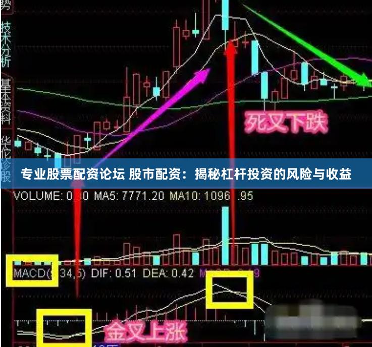 专业股票配资论坛 股市配资：揭秘杠杆投资的风险与收益