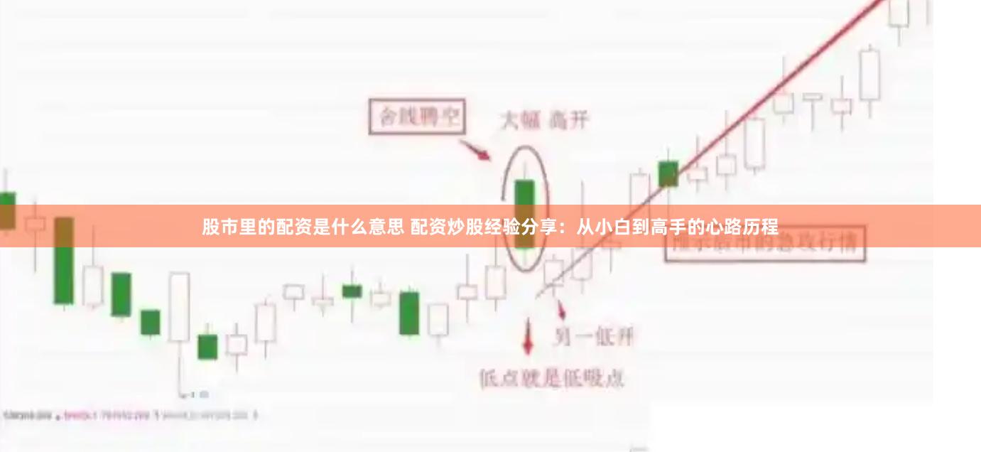 股市里的配资是什么意思 配资炒股经验分享：从小白到高手的心路历程