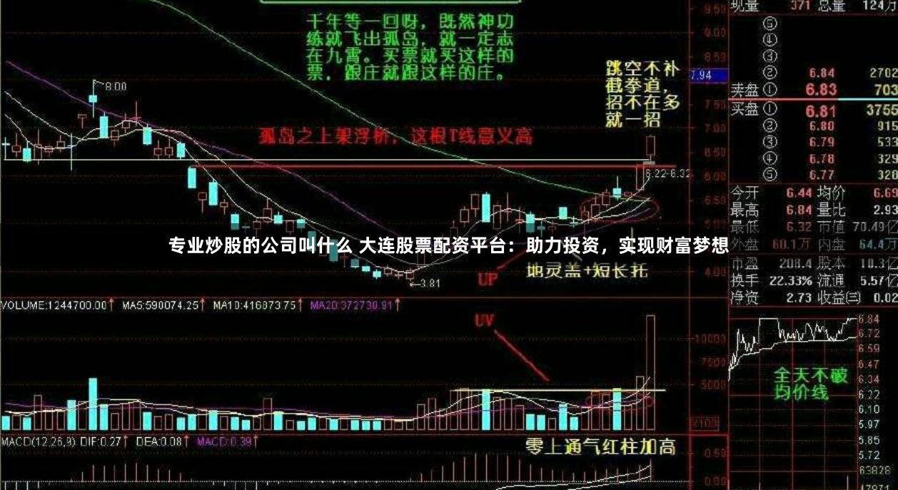 专业炒股的公司叫什么 大连股票配资平台：助力投资，实现财富梦想