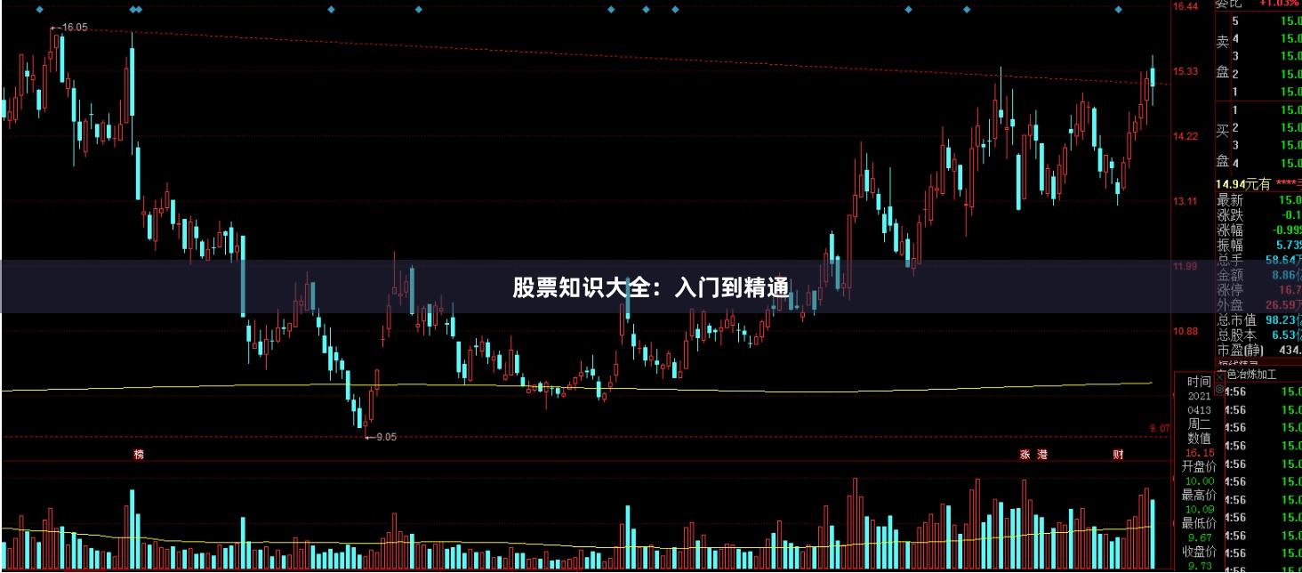 股票知识大全:入门到精通