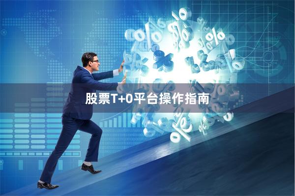 股票T+0平台操作指南