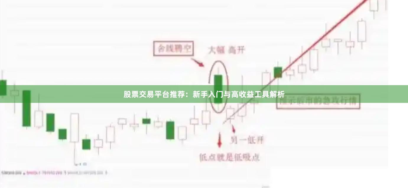 股票交易平台推荐：新手入门与高收益工具解析